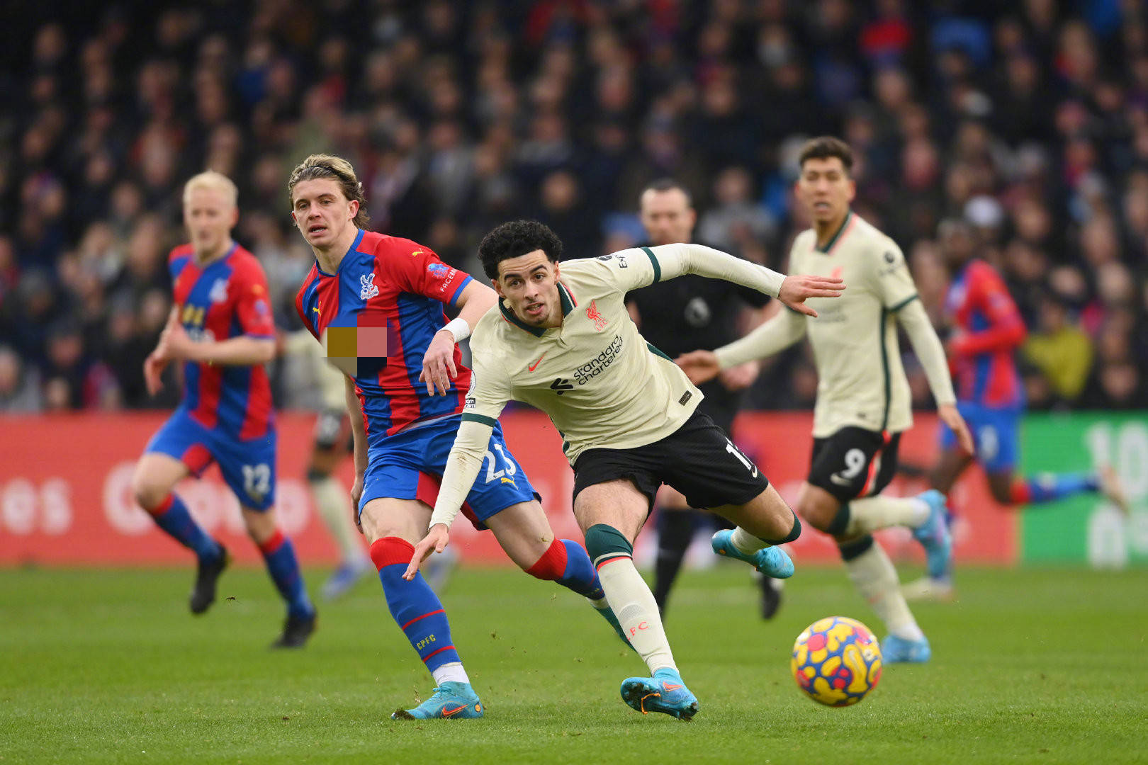 性与策略 性与策略